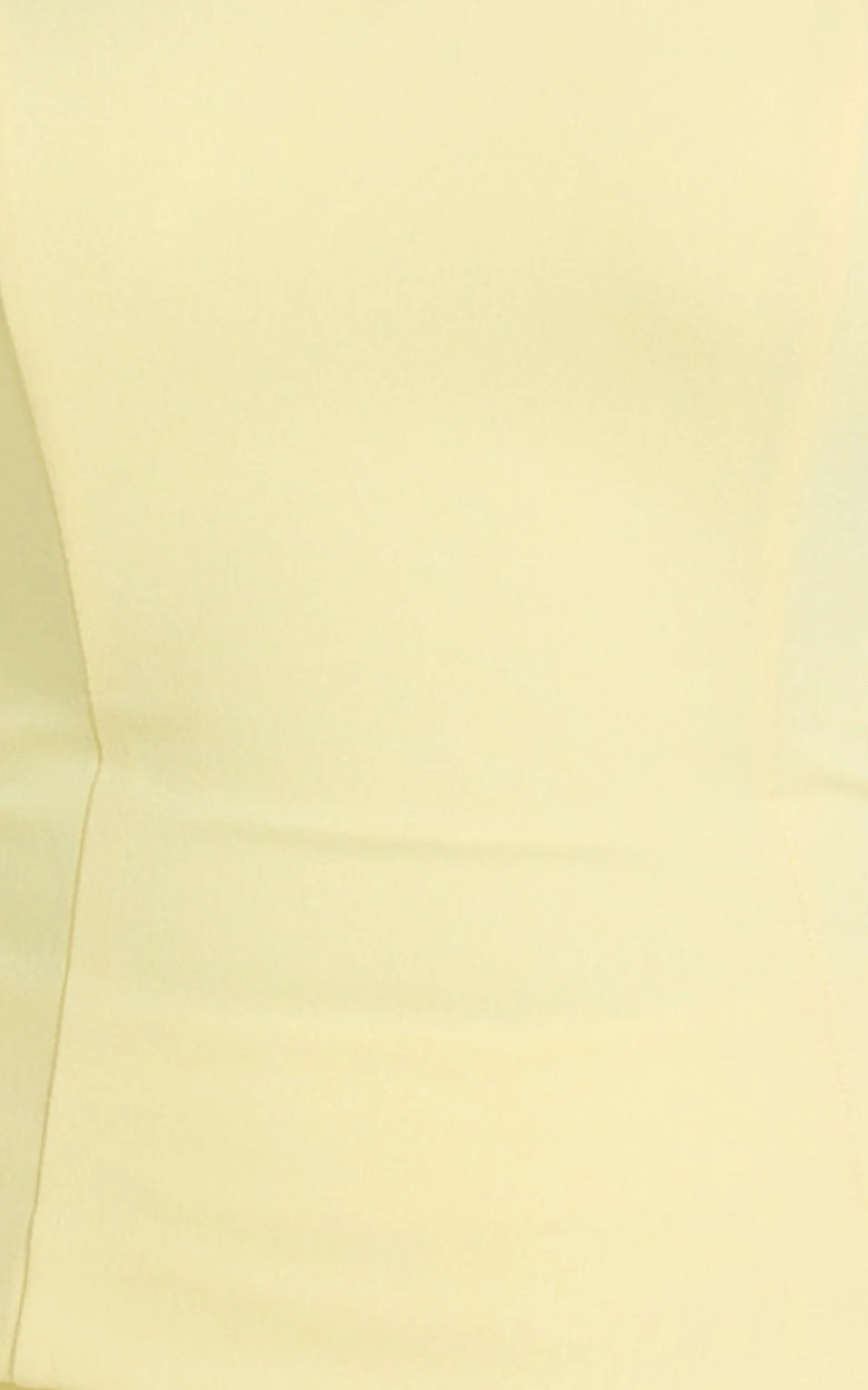 Anya Two Piece Top and Skirt Set - Strapless Fit And Flare Top And Maxi Skirt in Lemon - Image 6