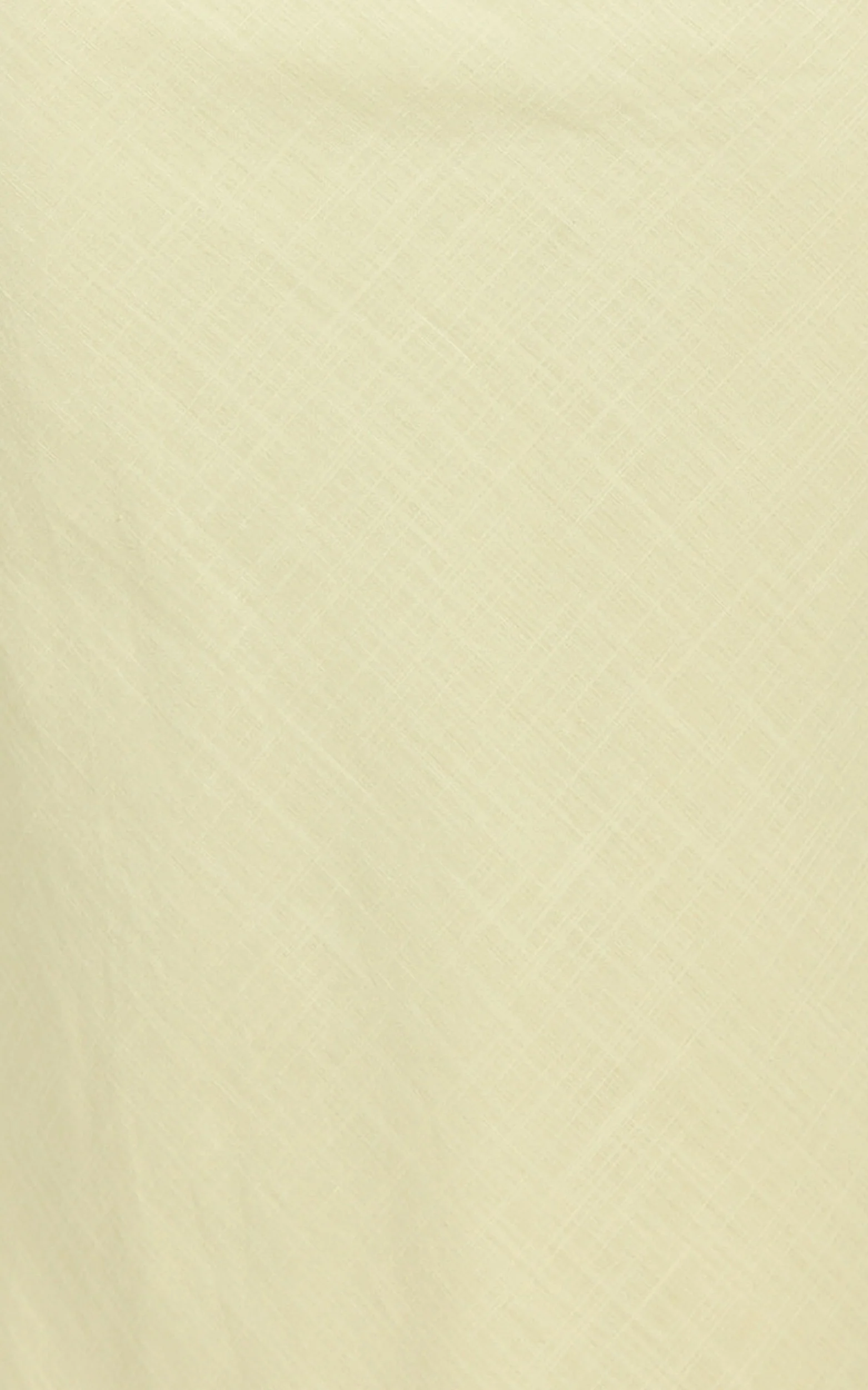 Runaway The Label - Halzie Maxi Skirt in Lemon - Image 7